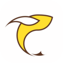 91.CAPP